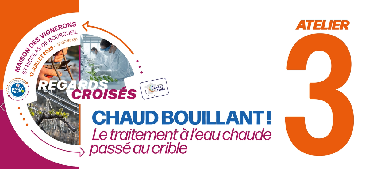 Chaud bouillant ! Le traitement à l’eau chaude passé au crible