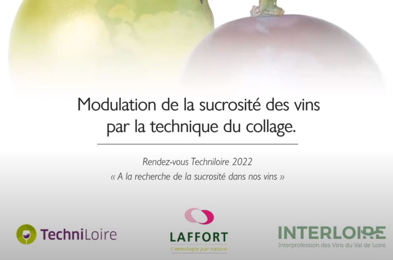 Modulation de la sucrosité des vins par la technique du collage par Bastien Nazaris, Laffort (5/5)