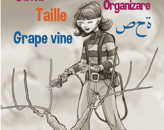 Comment expliquer à des tailleurs débutants, francophone ou non-francophones, la taille vertueuse de la vigne en toute sécurité ?