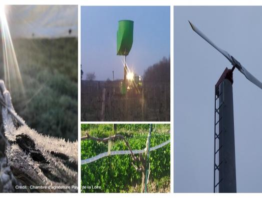 Evaluation environnementale des solutions antigel en Loire 