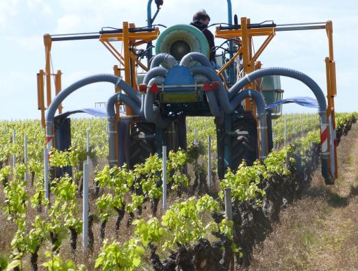 Forte pression sur le cuivre dans la lutte anti-mildiou