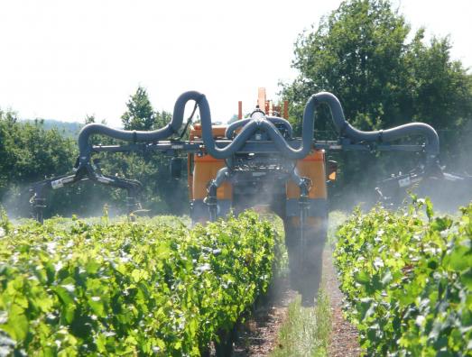 Forte pression sur le cuivre dans la lutte anti-mildiou