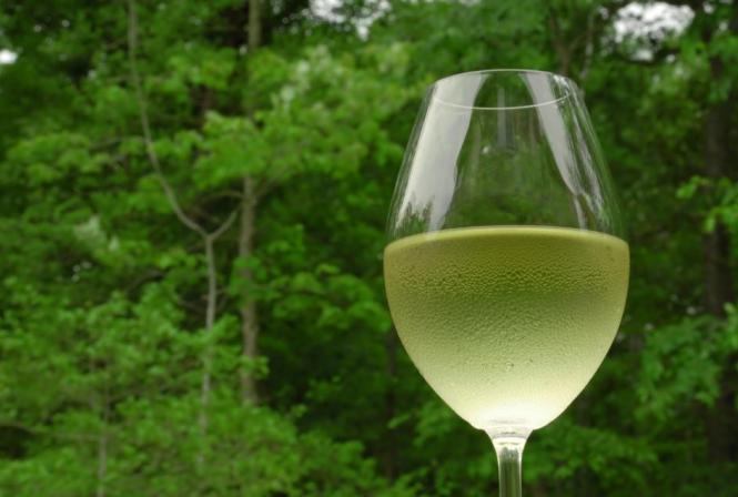 L’IFV se penche sur le stress hydrique et la qualité des vins