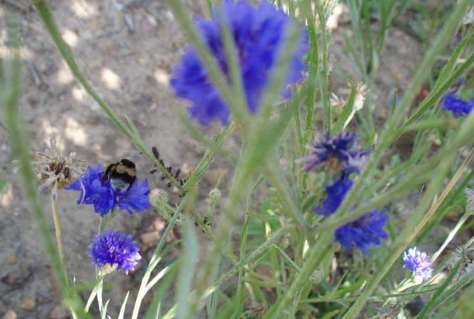 En 2025, 73% des domaines ligériens dans une démarche environnementale