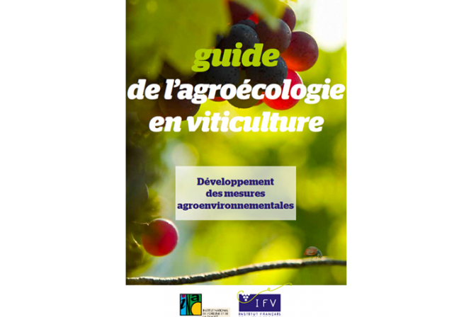 Agroécologie : un nouveau guide à télécharger !