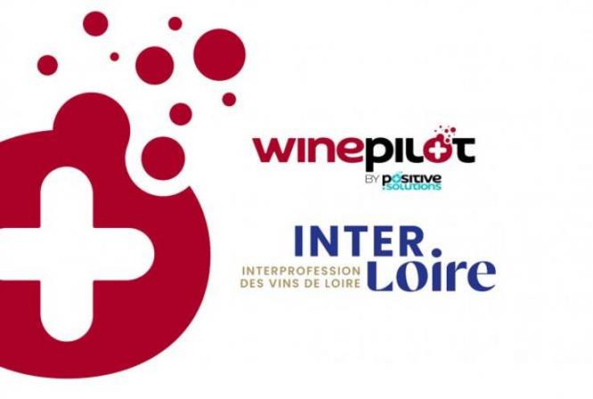 Calculez votre empreinte carbone dès maintenant avec WINEPILOT