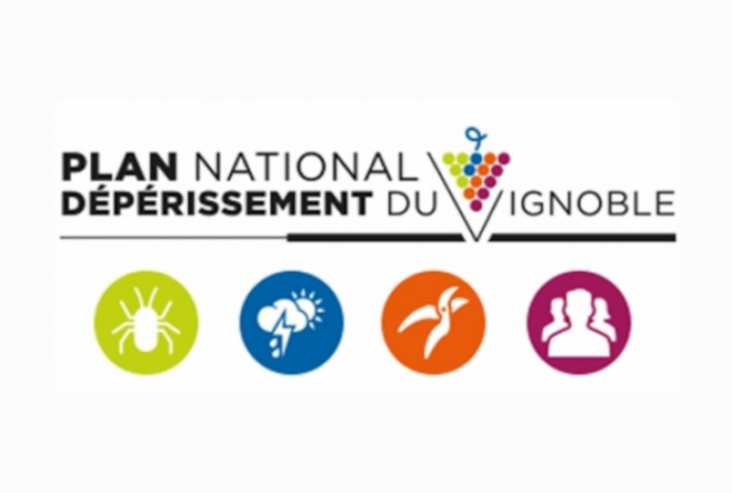 Renforcer le transfert des acquis du PNDV en Val de Loire