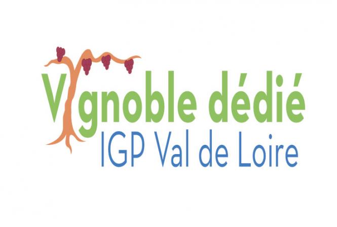 Comment mettre en place un vignoble dédié à la production en IGP ?