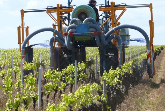 Forte pression sur le cuivre dans la lutte anti-mildiou