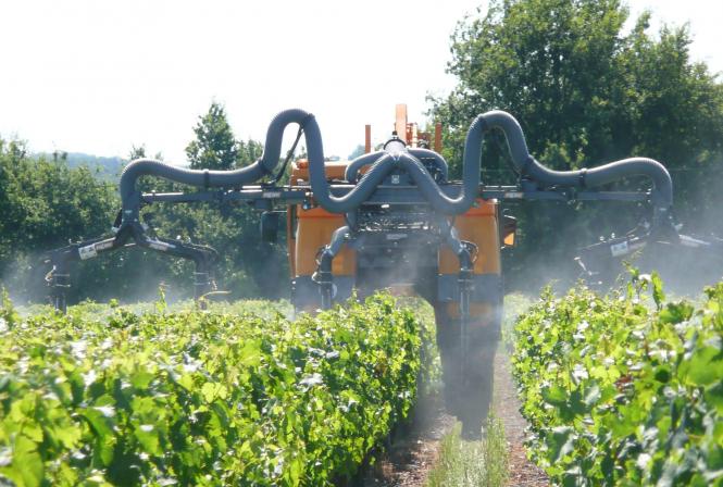 Forte pression sur le cuivre dans la lutte anti-mildiou