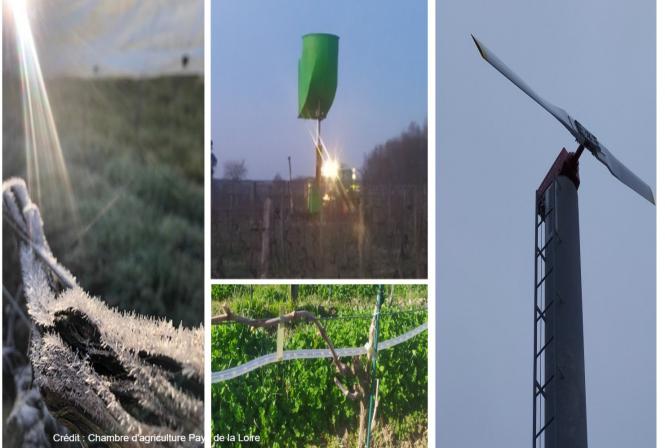 Evaluation environnementale des solutions antigel en Loire 