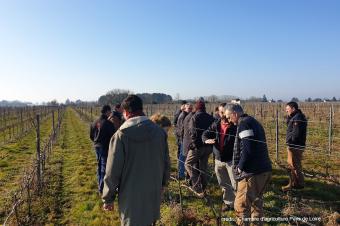 Retour sur la formation  « Mettre en place un vignoble dédié à la production en IGP »