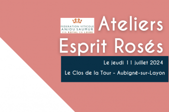 Synthèse des Ateliers Rosés 2024