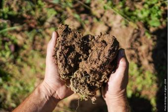 Le sol c’est la VI(gn)E