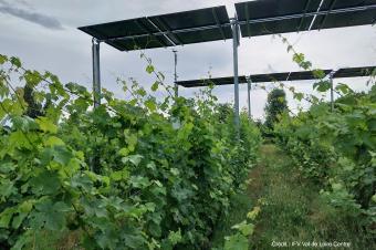 Installation du 1ier démonstrateur agrivoltaïque viticole en Loire !