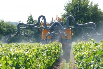 Forte pression sur le cuivre dans la lutte anti-mildiou