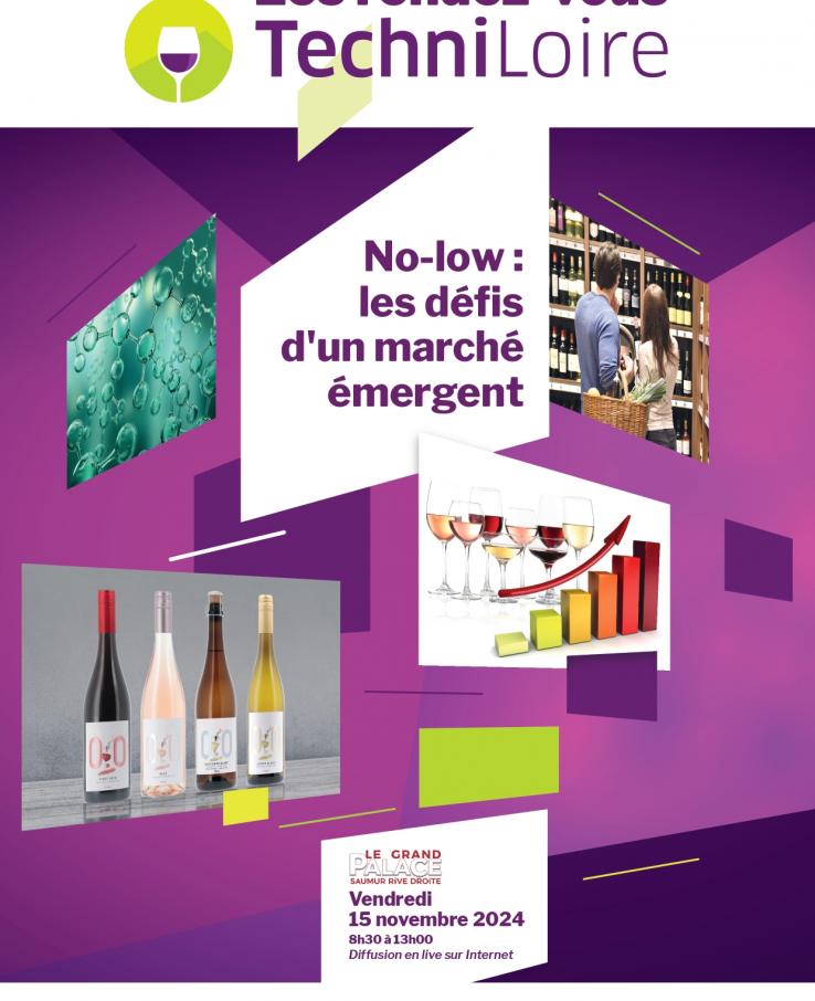 No-Low : les défis d'un marché émergent